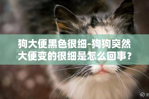 狗大便黑色很細-狗狗突然大便變的很細是怎么回事？