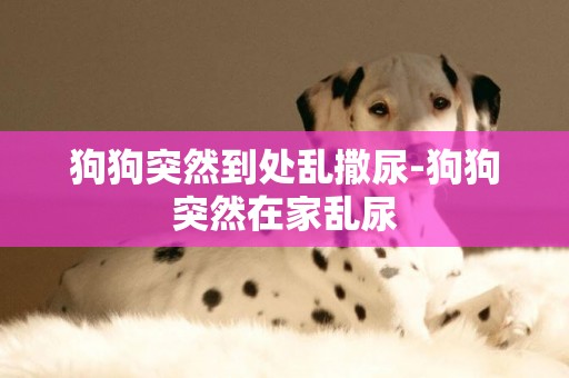 狗狗突然到處亂撒尿-狗狗突然在家亂尿