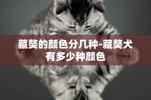 藏獒的顏色分幾種-藏獒犬有多少種顏色