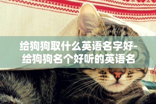 給狗狗取什么英語名字好-給狗狗名個好聽的英語名