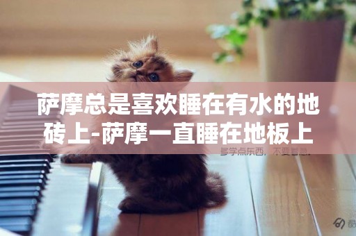 薩摩總是喜歡睡在有水的地磚上-薩摩一直睡在地板上怎么辦？