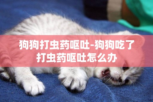 狗狗打蟲藥嘔吐-狗狗吃了打蟲藥嘔吐怎么辦