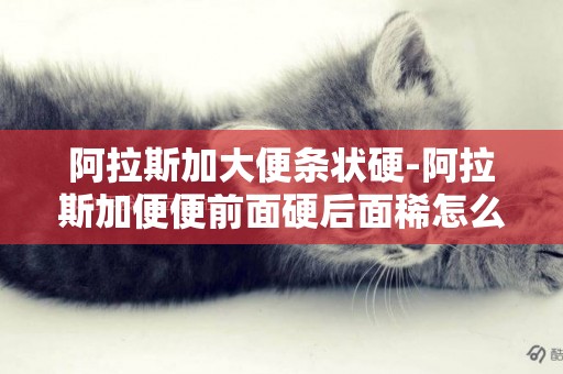 阿拉斯加大便條狀硬-阿拉斯加便便前面硬后面稀怎么辦