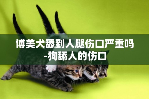 博美犬舔到人腿傷口嚴重嗎-狗舔人的傷口