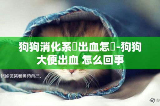 狗狗消化系統出血怎辦-狗狗大便出血 怎么回事