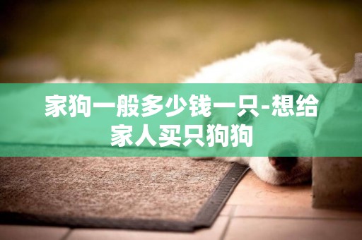 家狗一般多少錢一只-想給家人買只狗狗
