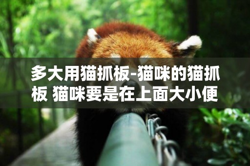多大用貓抓板-貓咪的貓抓板 貓咪要是在上面大小便 怎么辦