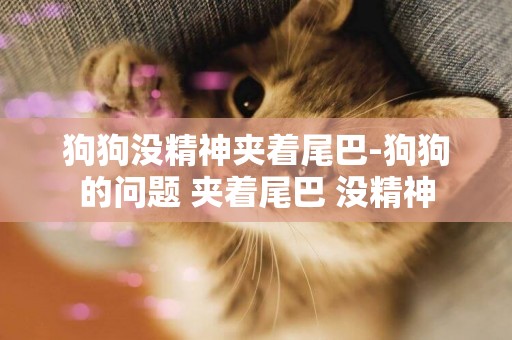 狗狗沒精神夾著尾巴-狗狗的問題 夾著尾巴 沒精神