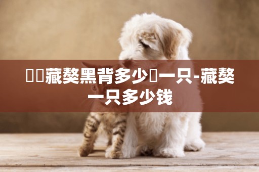 請問藏獒黑背多少錢一只-藏獒一只多少錢
