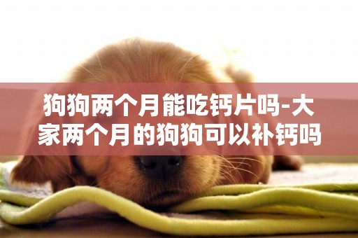 狗狗兩個月能吃鈣片嗎-大家兩個月的狗狗可以補鈣嗎