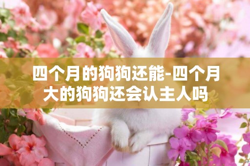 四個月的狗狗還能-四個月大的狗狗還會認主人嗎