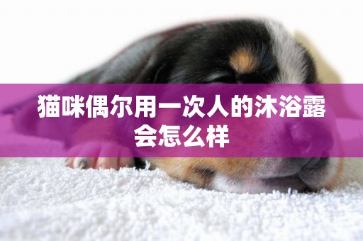 貓咪偶爾用一次人的沐浴露會怎么樣