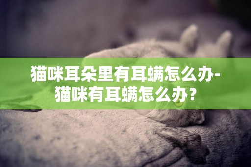 貓咪耳朵里有耳螨怎么辦-貓咪有耳螨怎么辦？