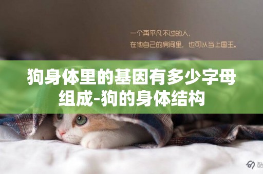 狗身體里的基因有多少字母組成-狗的身體結構