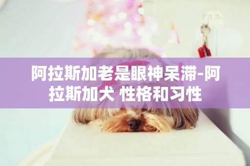 阿拉斯加老是眼神呆滯-阿拉斯加犬 性格和習性