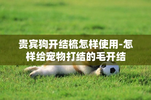 貴賓狗開結梳怎樣使用-怎樣給寵物打結的毛開結