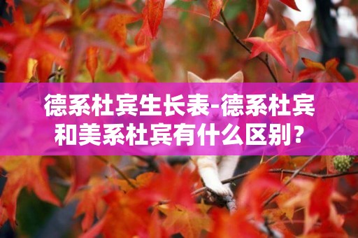 德系杜賓生長表-德系杜賓和美系杜賓有什么區別？
