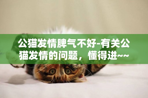 公貓發情脾氣不好-有關公貓發情的問題，懂得進~~
