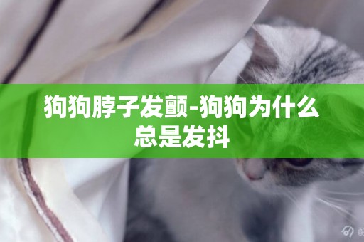 狗狗脖子發顫-狗狗為什么總是發抖