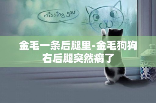 金毛一條后腿里-金毛狗狗右后腿突然瘸了