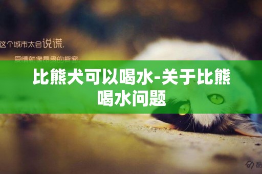 比熊犬可以喝水-關于比熊喝水問題