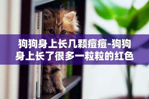 狗狗身上長幾顆痘痘-狗狗身上長了很多一粒粒的紅色痘痘