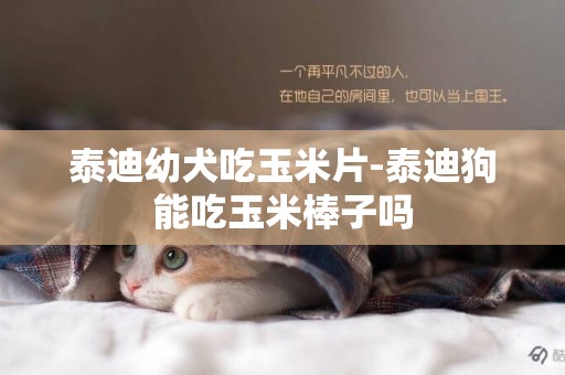 泰迪幼犬吃玉米片-泰迪狗能吃玉米棒子嗎