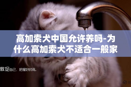 高加索犬中國允許養嗎-為什么高加索犬不適合一般家庭飼養？