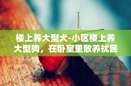 樓上養大型犬-小區樓上養大型狗，在臥室里散養擾民怎么辦