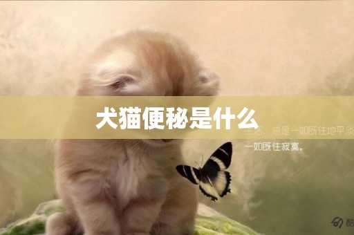 犬貓便秘是什么