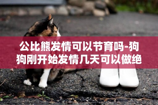 公比熊發情可以節育嗎-狗狗剛開始發情幾天可以做絕育手術嗎？