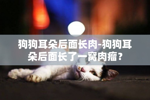 狗狗耳朵后面長肉-狗狗耳朵后面長了一窩肉瘤？