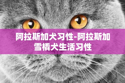阿拉斯加犬習性-阿拉斯加雪橇犬生活習性