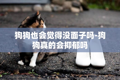 狗狗也會覺得沒面子嗎-狗狗真的會抑郁嗎