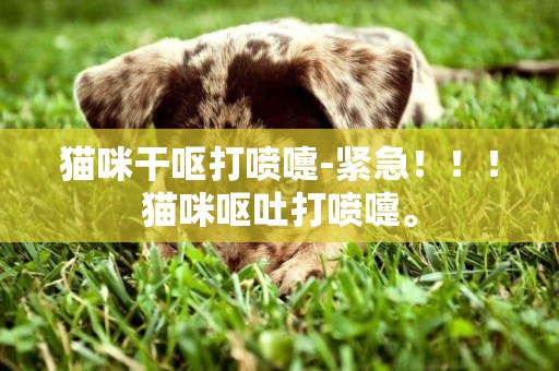 貓咪干嘔打噴嚏-緊急！！！貓咪嘔吐打噴嚏。