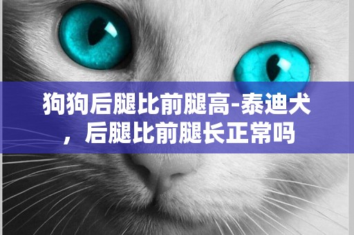 狗狗后腿比前腿高-泰迪犬，后腿比前腿長正常嗎