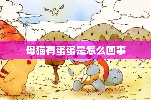 母貓有蛋蛋是怎么回事