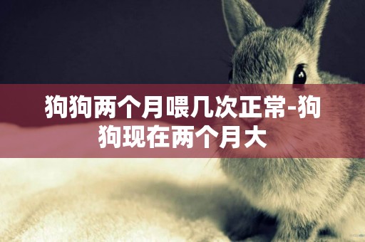 狗狗兩個月喂幾次正常-狗狗現在兩個月大