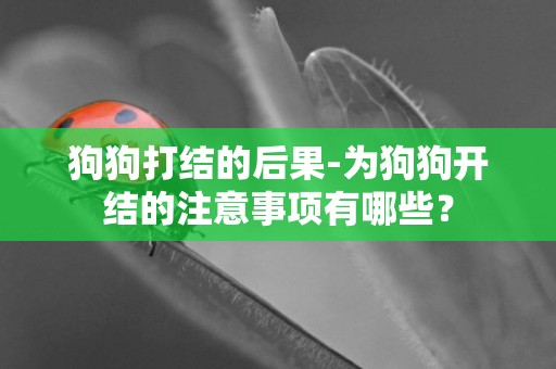 狗狗打結的后果-為狗狗開結的注意事項有哪些？