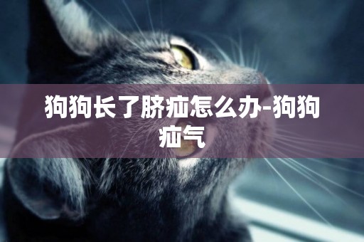 狗狗長了臍疝怎么辦-狗狗疝氣