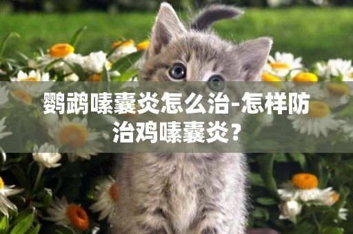 鸚鵡嗉囊炎怎么治-怎樣防治雞嗉囊炎？