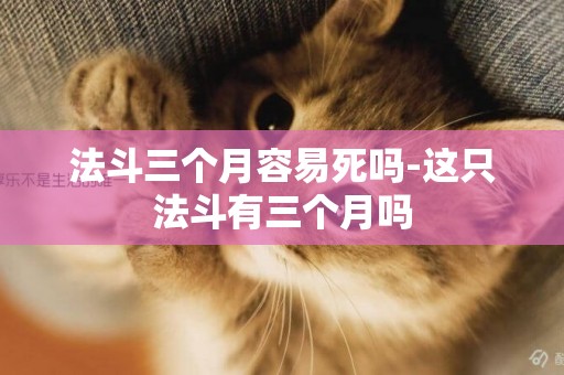 法斗三個月容易死嗎-這只法斗有三個月嗎