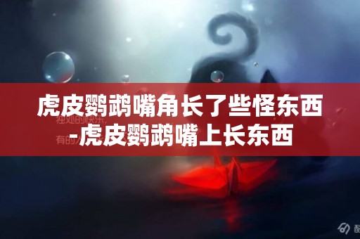 虎皮鸚鵡嘴角長了些怪東西-虎皮鸚鵡嘴上長東西