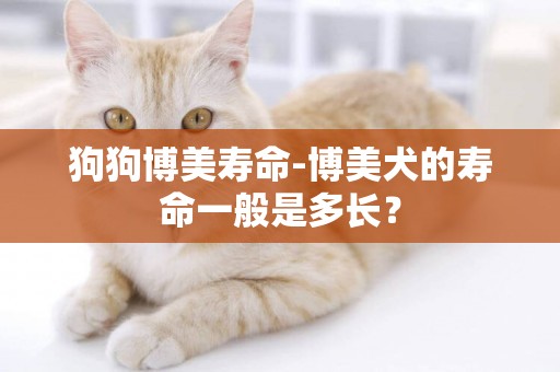 狗狗博美壽命-博美犬的壽命一般是多長？