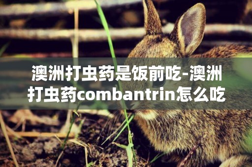 澳洲打蟲藥是飯前吃-澳洲打蟲藥combantrin怎么吃