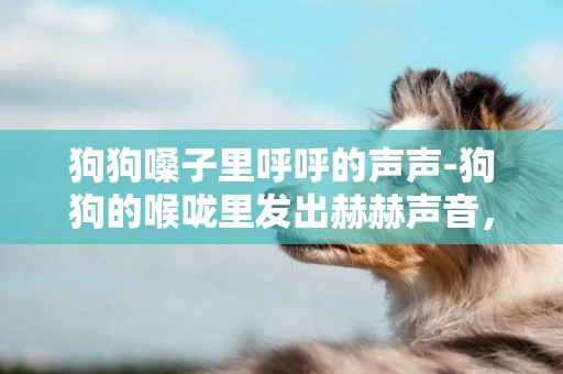 狗狗嗓子里呼呼的聲聲-狗狗的喉嚨里發出赫赫聲音，急