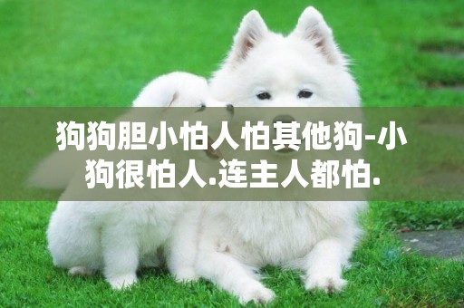 狗狗膽小怕人怕其他狗-小狗很怕人.連主人都怕.
