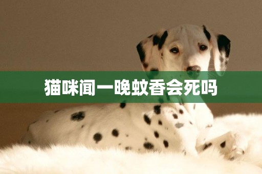 貓咪聞一晚蚊香會死嗎
