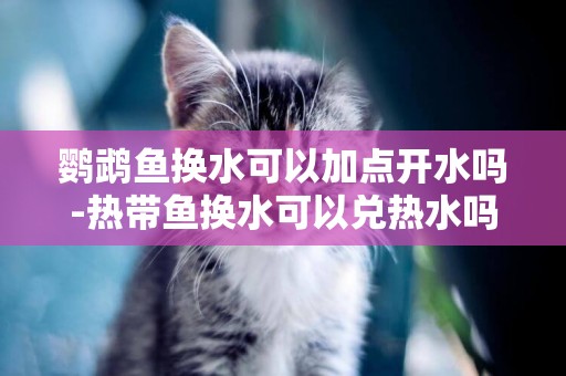 鸚鵡魚換水可以加點開水嗎-熱帶魚換水可以兌熱水嗎?