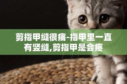 剪指甲縫很痛-指甲里一直有豎縫,剪指甲是會疼